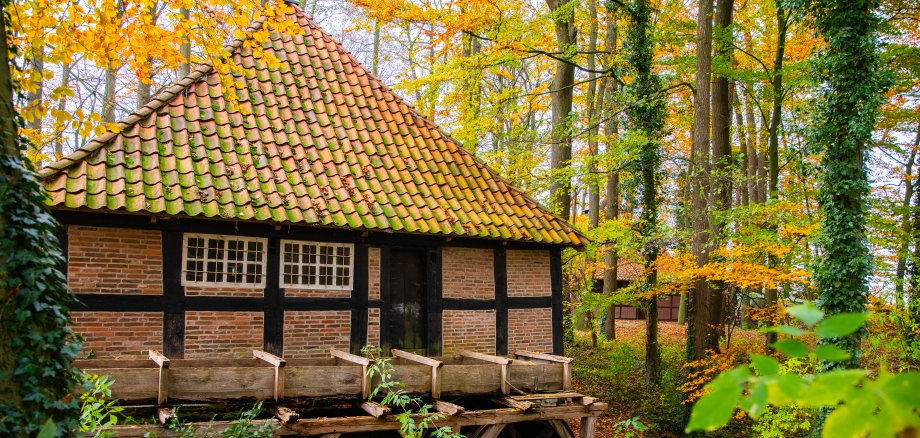 Blick auf die Ramings Mühle mit Mühlenrad im Herbst