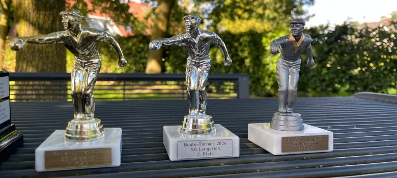 Bild der 3 Pokale