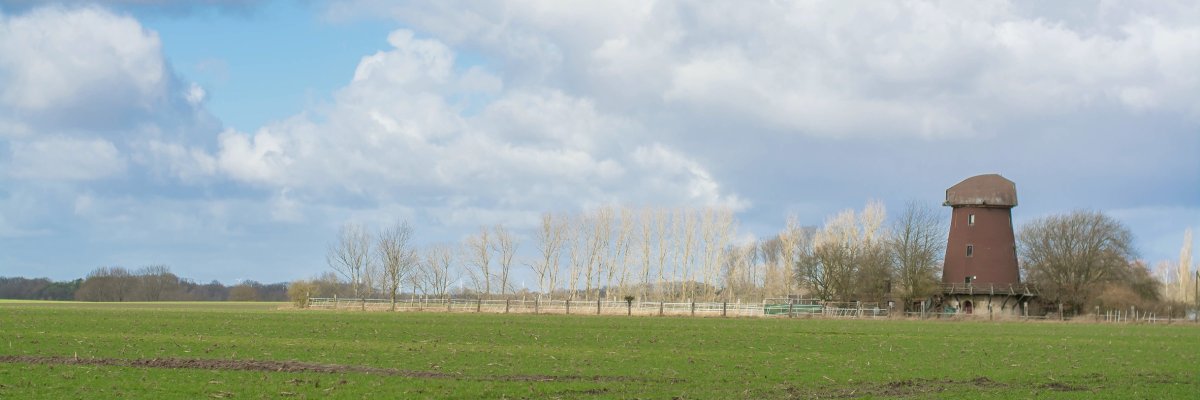 Blick auf die Hoffmanns Mühle umrahmt von Bäumen