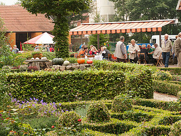 Bauerngarten Hof Lindemann in Gersten