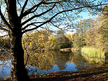 Saller See