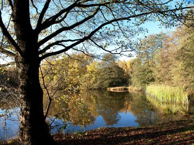 Saller See Ein Bild vom Saller See